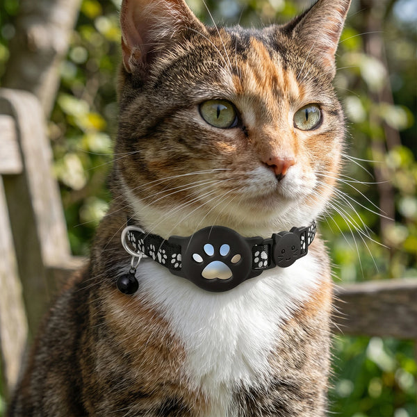 Pet Tracker for Cats