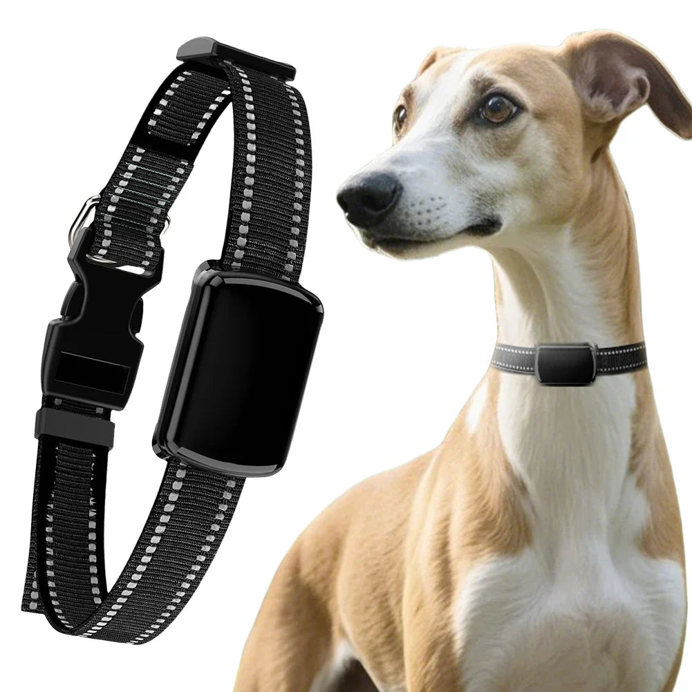 Pet Tracker for Dogs