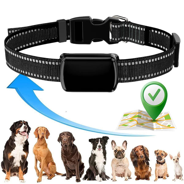 Pet-GPS-Tracker-with-Adjustable-Collar-Cat-Locator-Cat-Tracker-for-Cats-and-Dogs.jpg